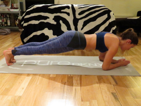 Dolphin Plank 1